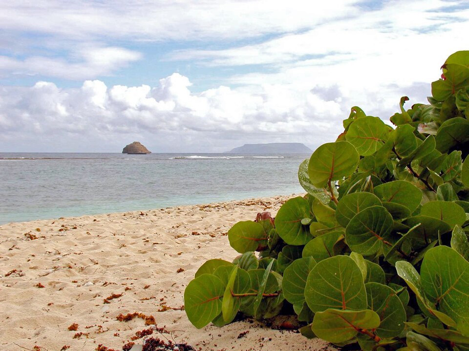 Anse à la Gourde à Saint-François