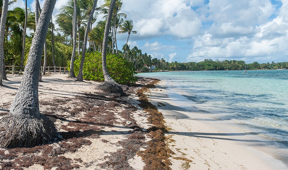 Plage de la Caravelle à Sainte-Anne