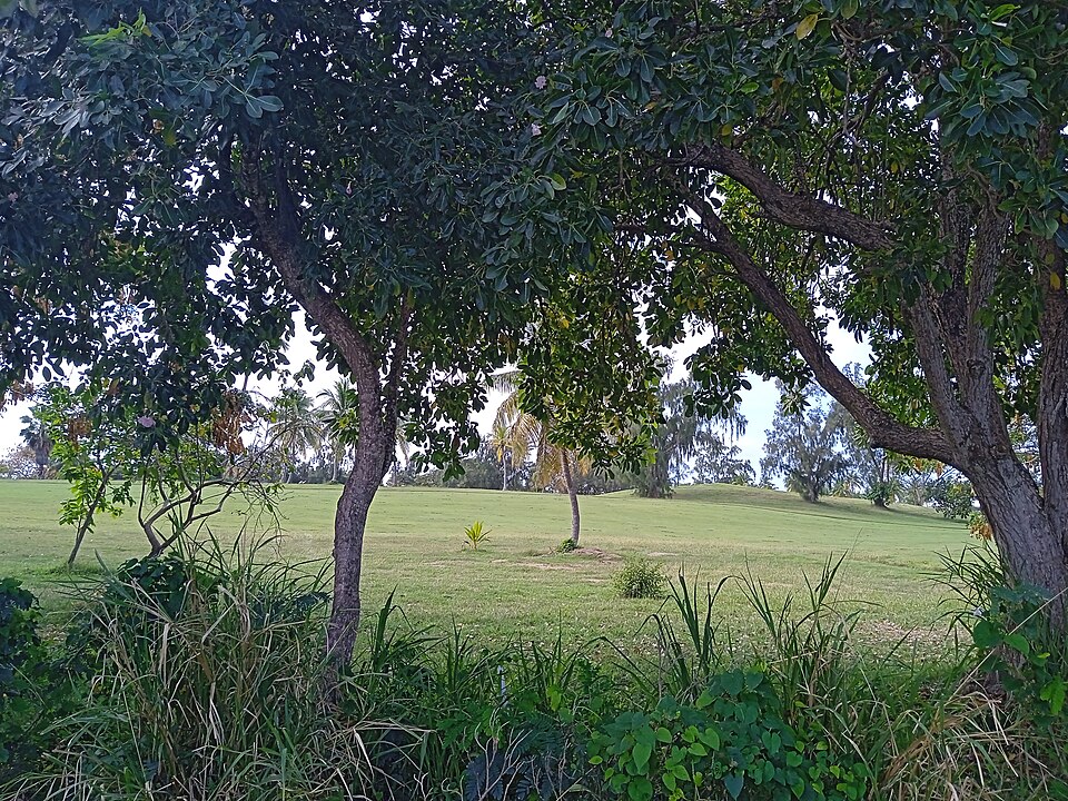Golf de Saint-François en Guadeloupe