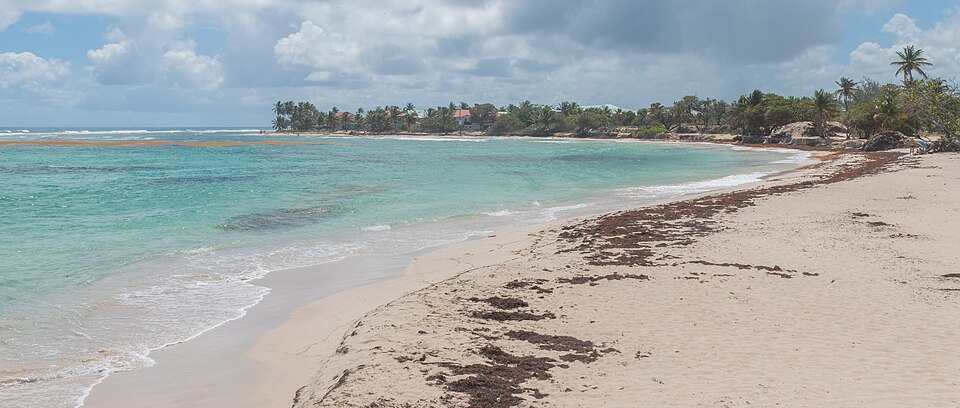 Plage des Raisins Clairs à Saint-François